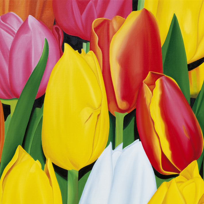 détail TULIPES